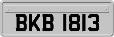 BKB1813