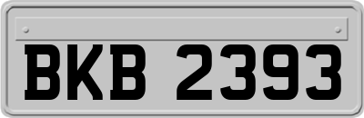 BKB2393