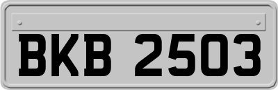 BKB2503