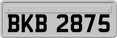 BKB2875