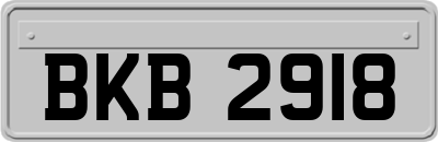 BKB2918