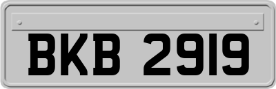 BKB2919