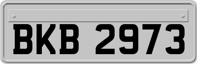 BKB2973