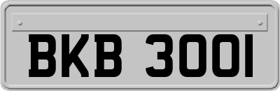 BKB3001