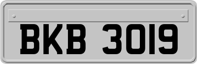 BKB3019