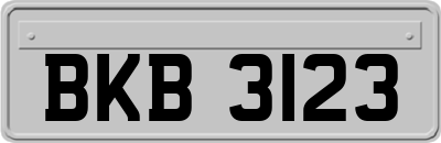 BKB3123