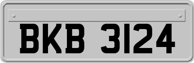 BKB3124