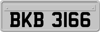 BKB3166