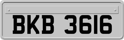 BKB3616