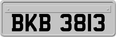 BKB3813