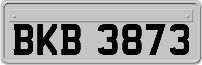 BKB3873
