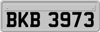 BKB3973
