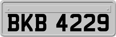 BKB4229