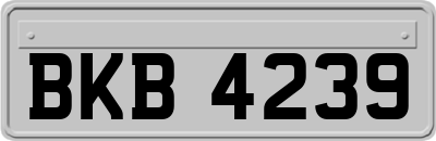 BKB4239