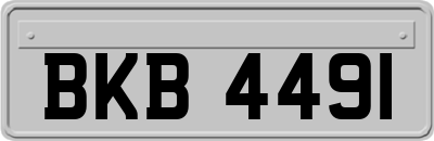 BKB4491