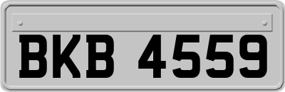 BKB4559