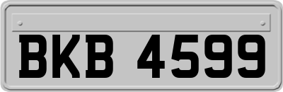 BKB4599