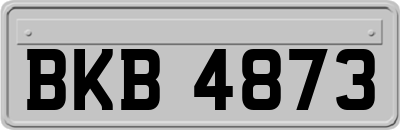 BKB4873