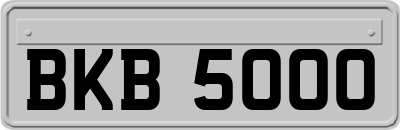 BKB5000