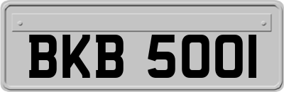 BKB5001