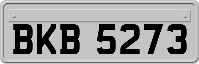 BKB5273
