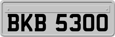 BKB5300