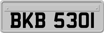 BKB5301