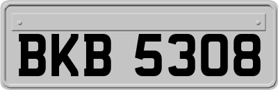 BKB5308