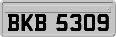 BKB5309