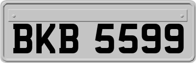 BKB5599