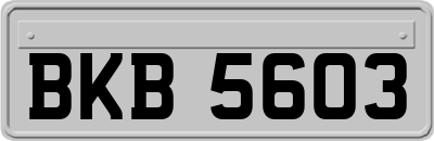 BKB5603