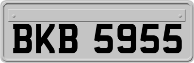 BKB5955