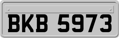 BKB5973