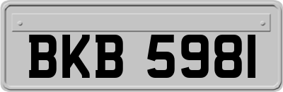 BKB5981