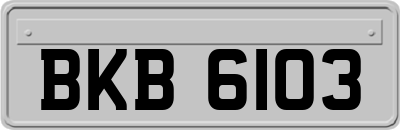 BKB6103