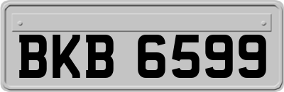 BKB6599