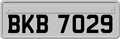 BKB7029