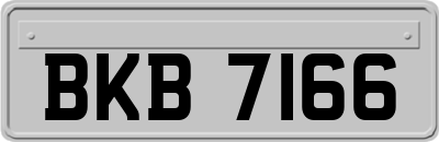 BKB7166