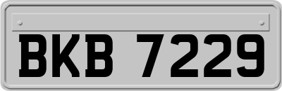 BKB7229