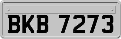 BKB7273