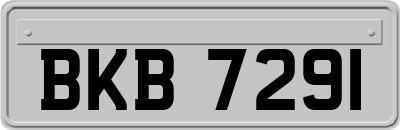 BKB7291