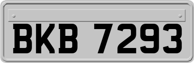 BKB7293