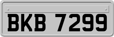 BKB7299