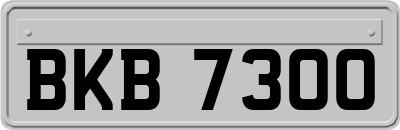 BKB7300