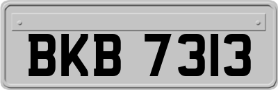 BKB7313