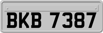 BKB7387
