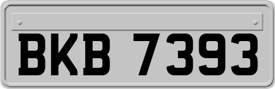 BKB7393