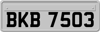 BKB7503