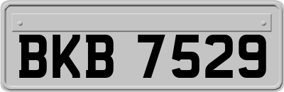 BKB7529