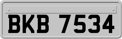 BKB7534